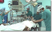 Medical and Healthcare